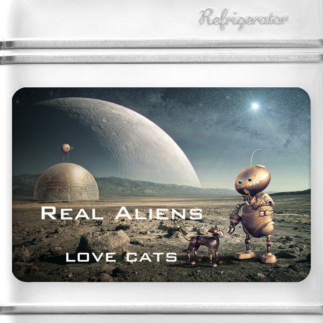 Amusant Imaginaire fou Cat Alien Magnet (Funny space magnet featuring an image of a strange planet with a cute kitty talking to an alien.)