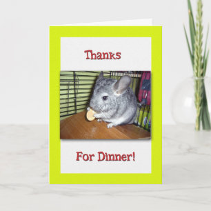 Amusant Merci pour le dîner avec Chinchilla qui ma