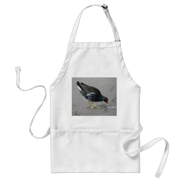 Amusant Moorhen prendre un tablier (Devant)