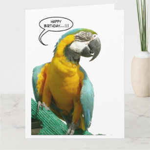Amusant Parrot Parler Anniversaire Grande carte de