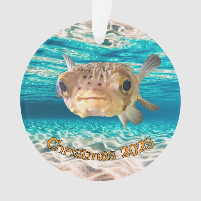 Amusant Poisson Poisson-Poisson-Poisson-Poisson-Pu (devant)