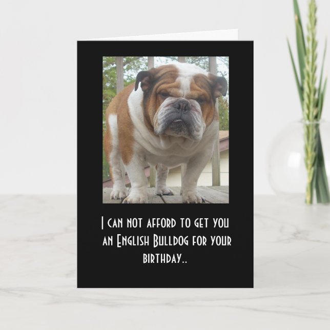 Amusante carte d'anniversaire de Bulldog anglais (Devant)
