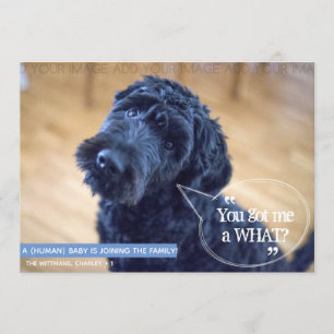 Amusante mariée (bébé humain) Faire-part de grosse