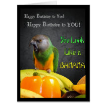 Amusante Sénégal Parrot Big Birthday Card