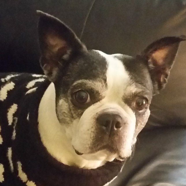 Amusants chrétiens enfants Biblique Puzzles (Créateur téléchargé)