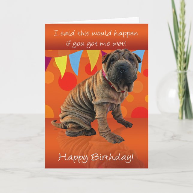 Amusants Shar Pei Carte Anniversaire Avec Humour A (Devant)