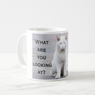 Amusement ce qui sont vous regardant la tasse de