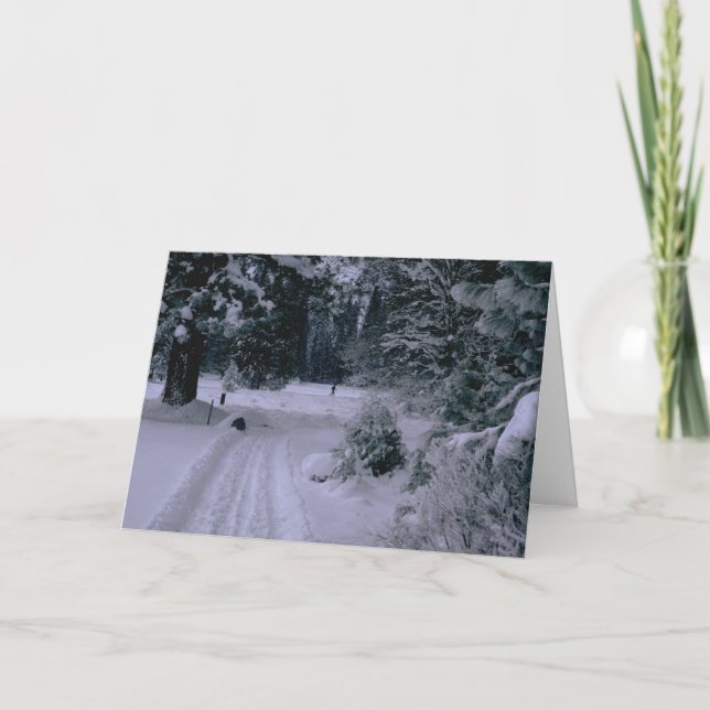 Amusement dans la carte de voeux de forêt (Devant)