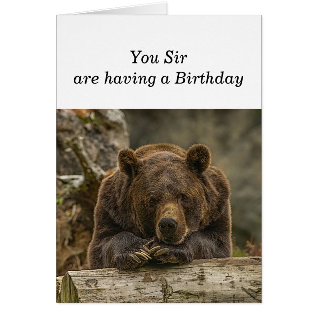 Amusement sur la colline Sérieux regard grizzli Ou (Devant)