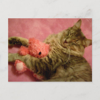 amusez-vous avec sa carte postale en peluche