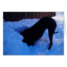 Amusez-vous dans la neige