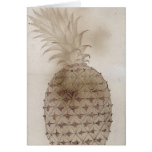 Ananas,