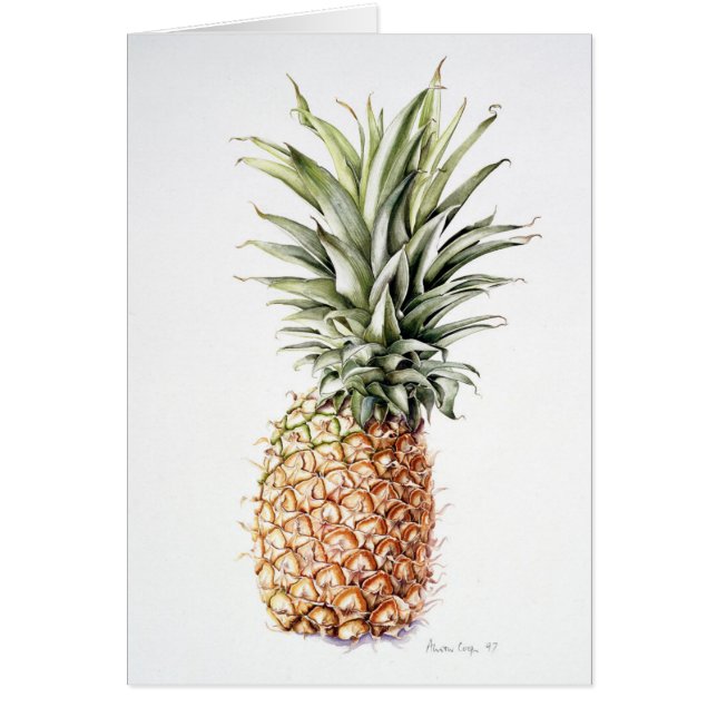 Ananas 1997 (Devant)