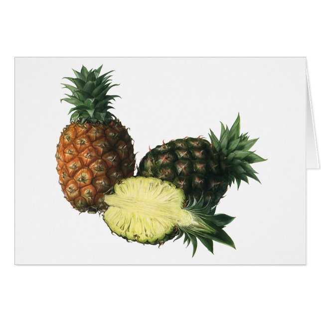 Ananas Hawaïens Vintage, Fruits Alimentaires Biolo (Devant horizontal)