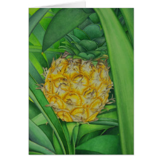 Ananas miniature