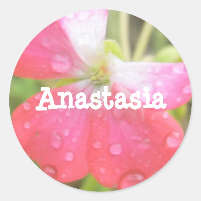 Anastasia prénom féminin autocollants amaryllis (Devant)