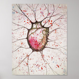 Anatomical Heart Illustration - 8.5x11 Poster