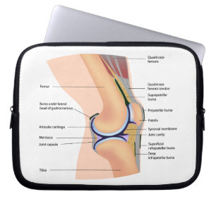 Anatomie de sac humain de l'électronique
