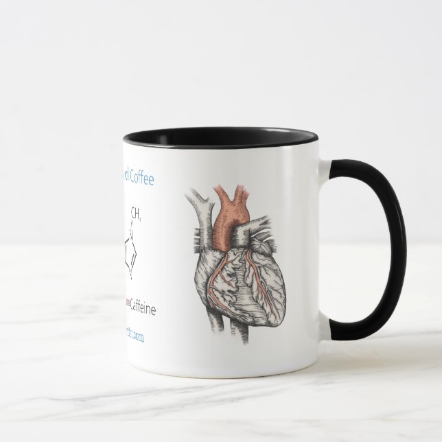 Anatomie de tasse de café (Droite)