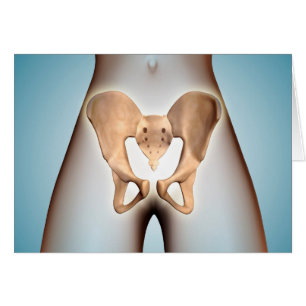 Anatomie d'os pelvien sur le corps féminin