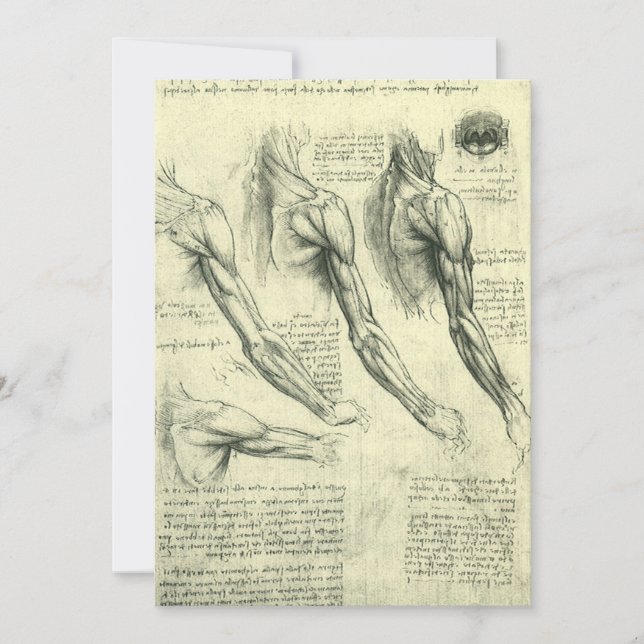 Anatomie du bras et de l'épaule de Léonard de Vinc (Devant)