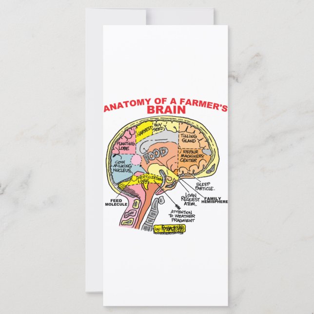 ANATOMIE DU CERVEAU D'UN AGRICULTEUR (Devant)