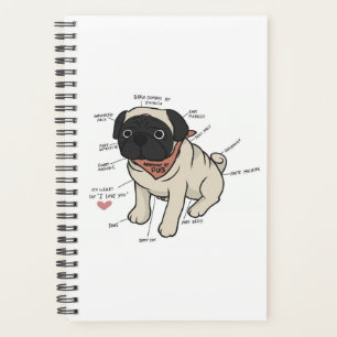 Anatomie Du Chien Carlin Graphique