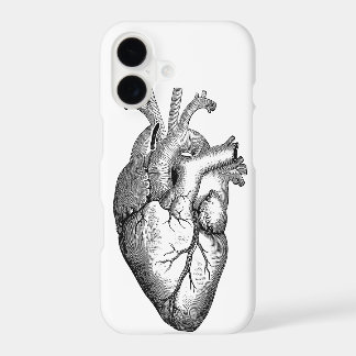 Anatomie du cœur Science