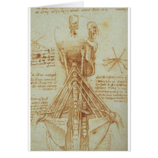 Anatomie du cou par Leonardo da Vinci C. 1515 (Devant)
