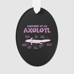 anatomie d'un axolotl axolotls biologie science .