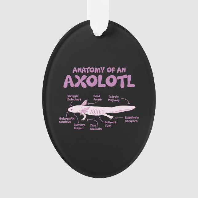 anatomie d'un axolotl axolotls biologie science . (devant)