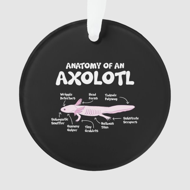 anatomie d'un axolotl axolotls science de la biolo (devant)
