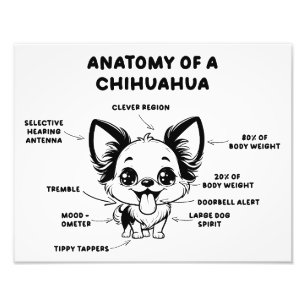 Anatomie d'un Chihuahua drôle Chien Impression