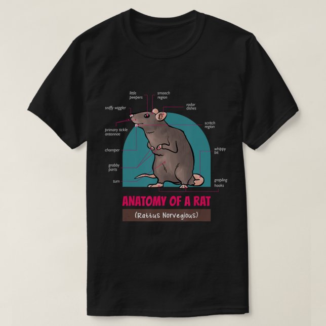 Anatomie D'Un Rat Rattus Rats Norvegious T-Shirt (Design devant)