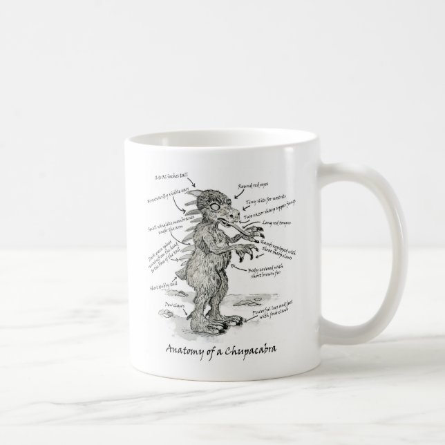 Anatomie d'une tasse de Chupacabra (Droite)
