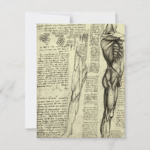 Anatomie humaine de Léonard de Vinci : muscles de 