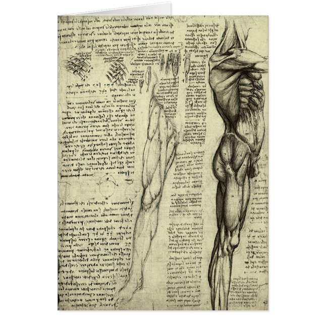 Anatomie humaine masculine des muscles par Léonard (Devant)