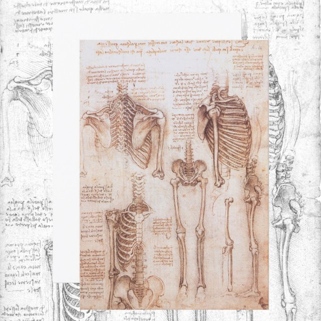 Anatomie humaine Squelette os par Leonardo da Vinc (Créateur téléchargé)