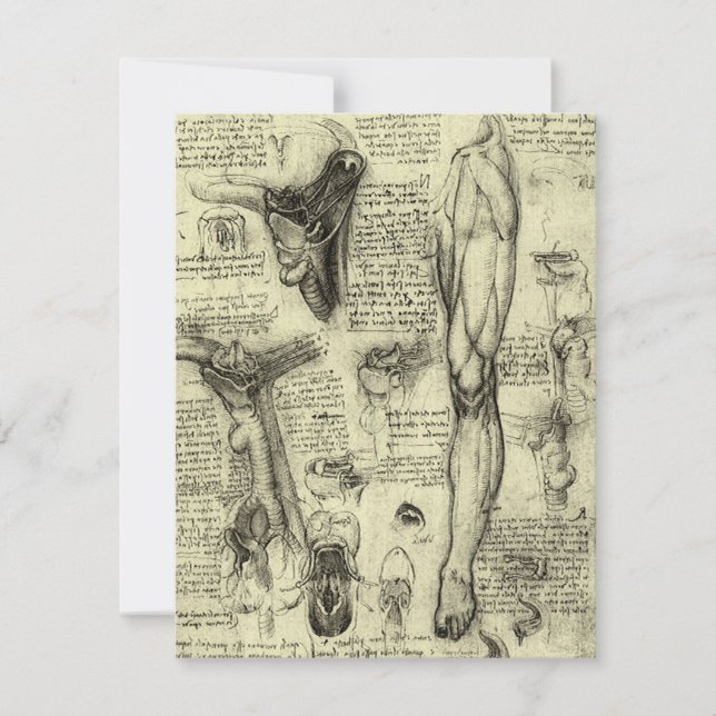 Anatomie humaine vintage du larynx de la jambe de  (Devant)