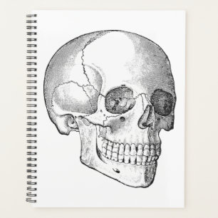 Anatomie Médicale dessin vintage crâne monochrome