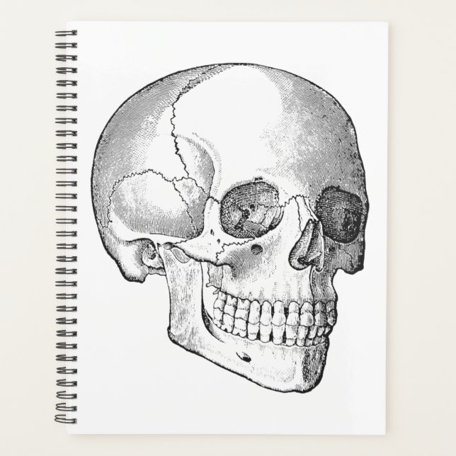 Anatomie Médicale dessin vintage crâne monochrome (Devant)