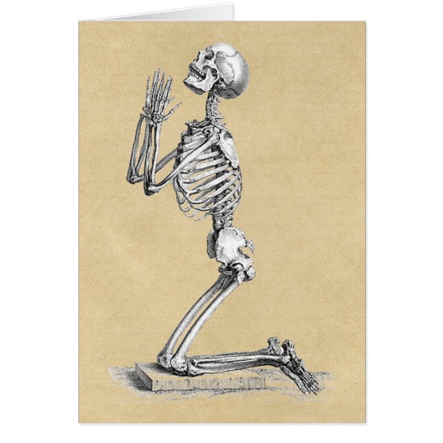 Anatomie Squelette Illustration Cartes de voeux (Devant)