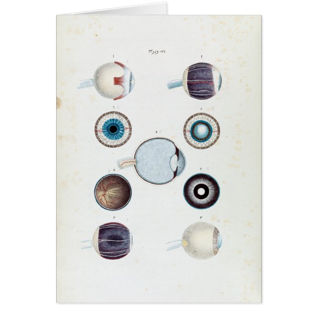 Anatomie vintage de l'oeil humain (Devant)