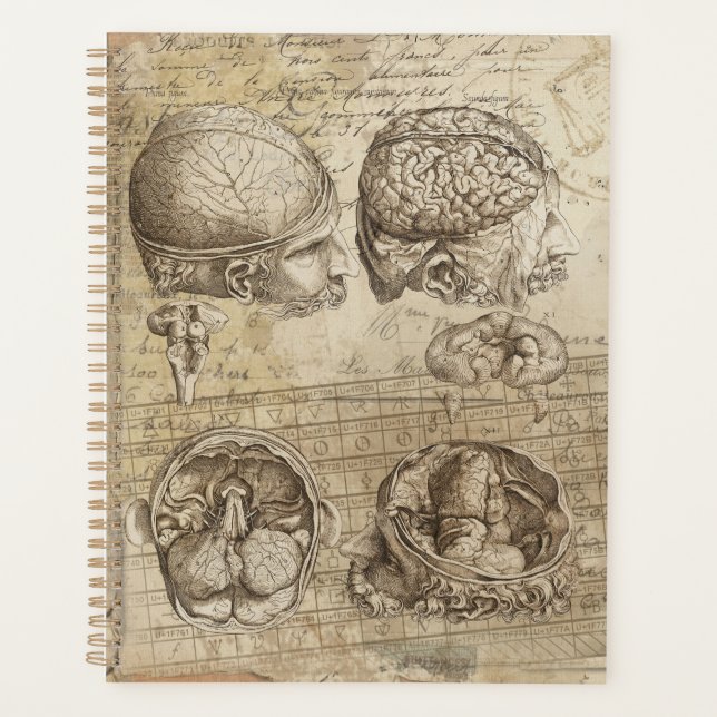 Anatomie vintage du cerveau Art collé désorganisé (Devant)