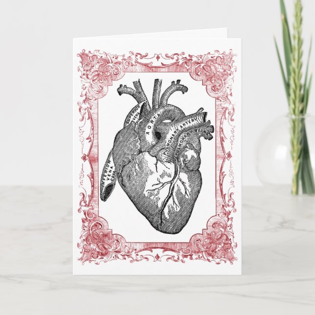 Anatomie vintage du coeur Valentine Carte de voeux (Devant)