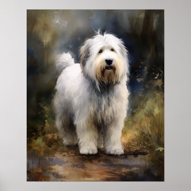 Ancien anglais Sheepdog Chien Art Imprimer Poster (Devant)