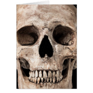 Ancien crâne patiné