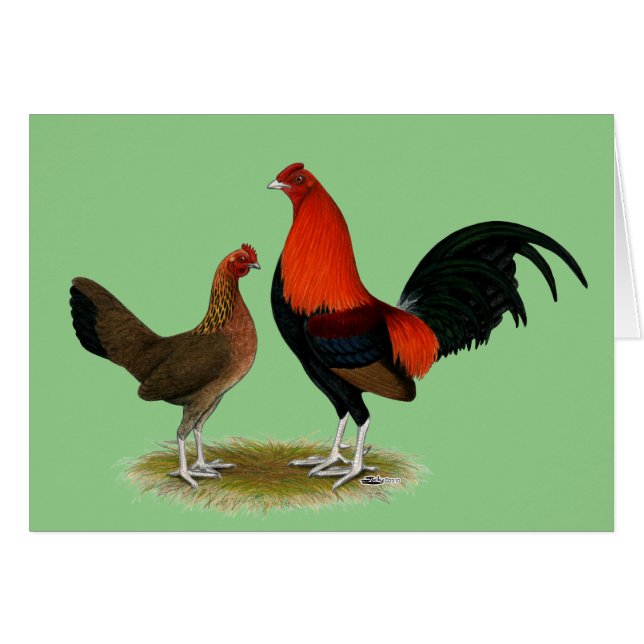 Ancien jeu anglais Bantams : BB Red Pair (Devant Horizontal)