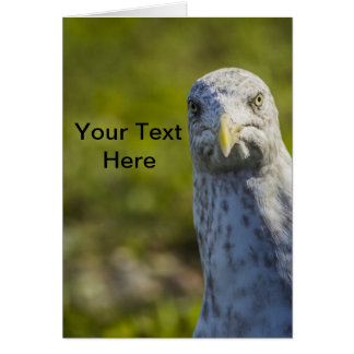 Ancien Mouette Cranky (Ajouter Votre Propre Texte)