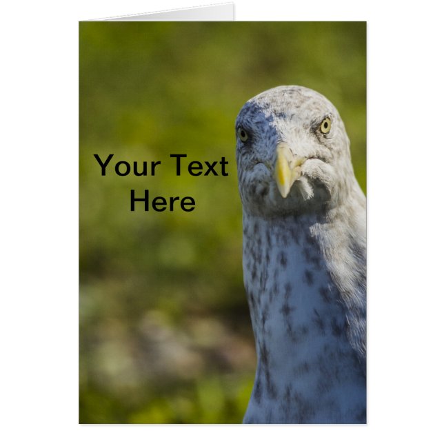 Ancien Mouette Cranky (Ajouter Votre Propre Texte) (Devant)
